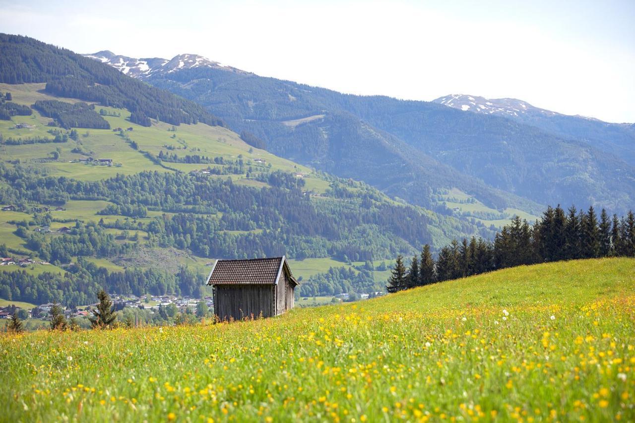 Vordergugg Mittersill Exterior foto
